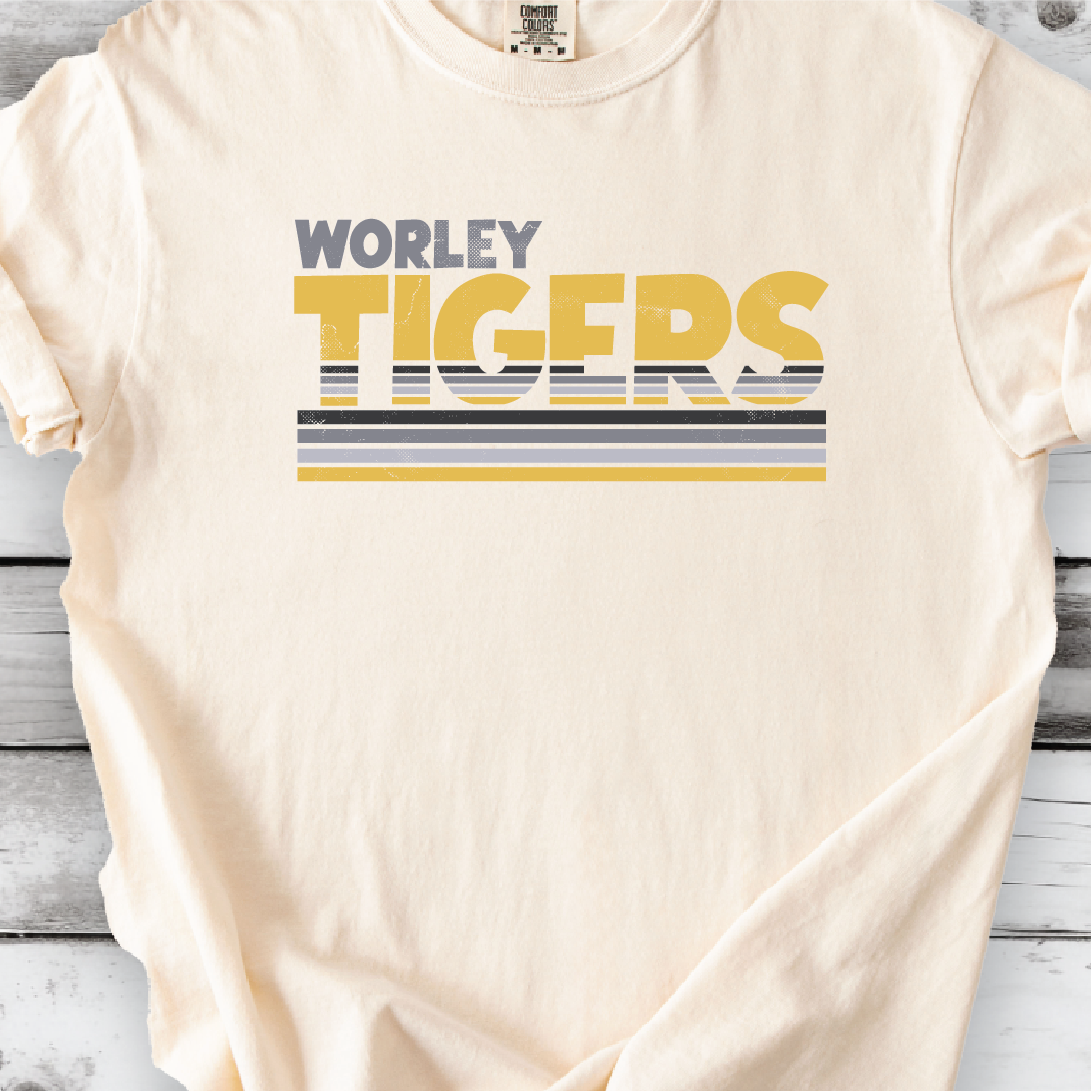 Worley DISCO